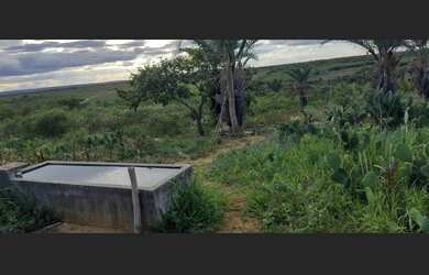 Imagem 6: Vende-se terreno com 67 hectares