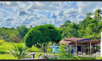 Imagem: Sítio em Nazaré das farinhas