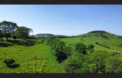 Imagem 7: ???????????? FAZENDA À VENDA EM PALMITAL - MARQUINHO, PR ????????????