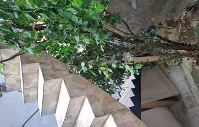 Imagem 3: Aluga-se casa, Bairro Vila Cabral