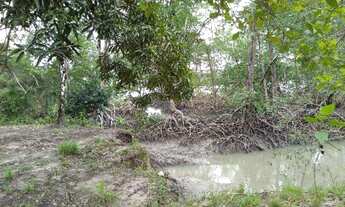 Imagem 7: R$160 mil Fazenda 118 hectares em Marapanim região pra criação de camarão