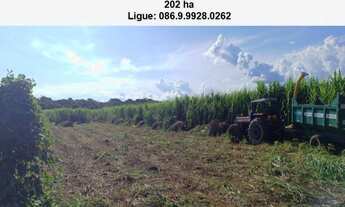 Imagem: Fazenda de 200 h em Teresina-Pi
