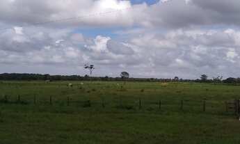 Imagem 3: Fazenda 340 alqueires porteira fechada no Pará documentada R$22 milhões