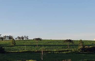 Imagem 4: Imóvel Rural / Fazenda / Sítio / Terreno em Ribeirão Claro – Paraná – área urbana