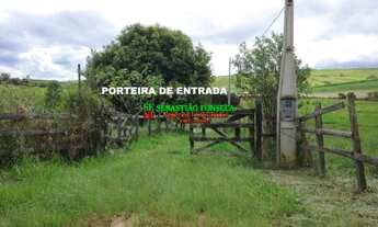 Imagem 1: Chácara plana em Caçapava 1 hectare