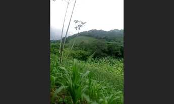 Imagem 5: Terreno a venda em Pacoti