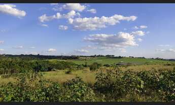 Imagem 6: Sitio 20 mil metros em Holambra SP