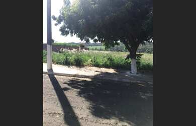 Imagem 7: 3 lotes - Condomínio Rio da Onça Borborema