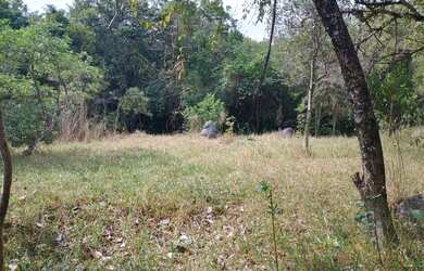 Imagem 7: Terreno de 40 mil mt em Itatiaiuçu MG