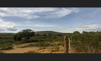 Imagem 2: Propriedade rural a venda