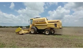 Imagem 2: 88 Alqs Plantando Vale do Araguaia TO