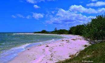 Imagem 4: Terreno em São Pedro da Aldeia / RJ