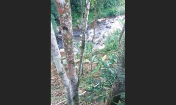 Imagem 6: Chácara na Varginha, Santo Amaro da Imperatriz/SC