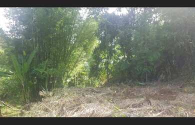 Imagem 5: Terreno na Manoel da Nobréga em Itariri