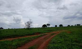 Imagem 3: Fazenda em Barra do Garças-MT