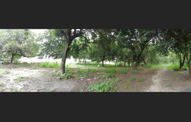 Imagem 5: Terreno na Estr. de Ribamar | Forquilha