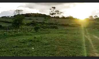 Imagem 6: Excelente fazenda em Araçás