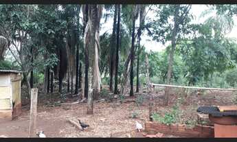 Imagem 6: ÁREA 1.33HEC PRÓX. OTÁVIO PÉCORA