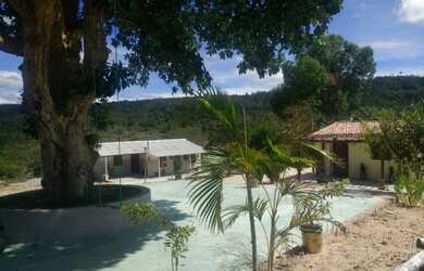 Imagem 4: Sítio 13 hectares em Barra da Estiva-Ba