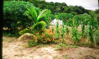 Imagem: Vendo um sítio no Bom Jardim próximo a