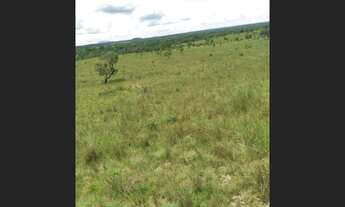 Imagem 5: Fazenda no municipio de Araguacema - TO