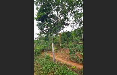 Imagem 5: Fazenda com 35 ha, Norte de Minas, possui documentação
