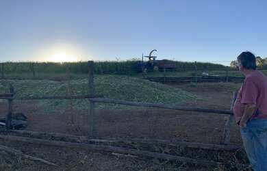 Imagem 12: VENDO FAZENDA (392he)-MINAS GERAIS