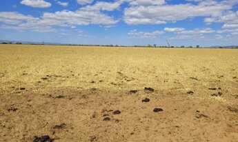 Imagem 3: 1.090 Alqs Ótima Terra Água e Logística Região Dianópolis TO