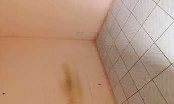 Imagem 4: Apartamento Quarto e Sala a partir de R$550