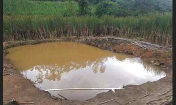 Imagem 2: Chácara em Vila Maria