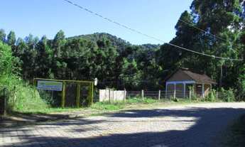 Imagem 3: Sítio Formigão Amarelo