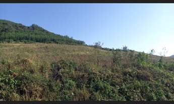 Imagem 6: Excelente Área De Terras em Santa Maria Do Herval (40 Hectares