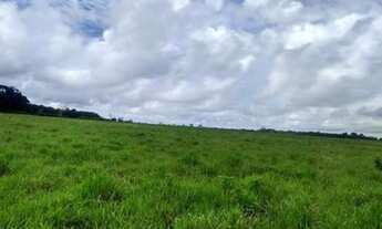 Imagem 7: Fazenda 340 alqueires porteira fechada no Pará documentada R$22 milhões