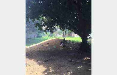 Imagem 7: Casa Custódio de Almeida