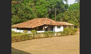 Imagem 7: Fazenda de 711 ha em Curvelo