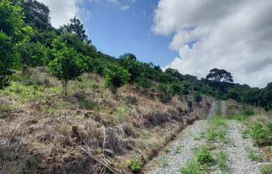 Imagem 6: LINDA CHÁCARA EM SANTA MARIA DO HERVAL