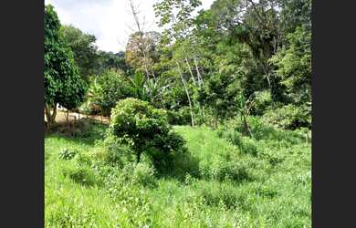 Imagem 4: Fazenda Boa Sorte em Ibirataia