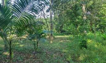 Imagem: Sítio com 72 hectares fica sentido Capanema