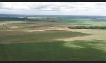 Imagem 6: FAZENDA NO MUNICIPIO DE NATIVIDADE - TO