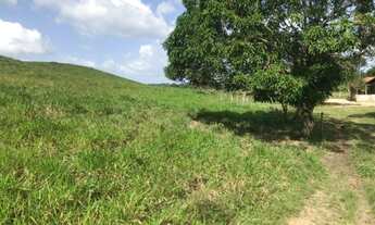 Imagem 5: Fazenda com 400 hectares no Pará sentido Bragança pronta por R$2,5 milhões
