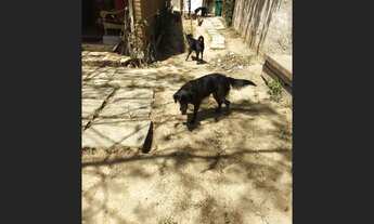 Imagem 4: Vendo casa em Saquarema