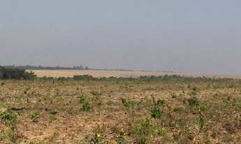 Imagem 2: 247 Alqs Arrendamento Disponivel Pra Soja Santa Maria TO