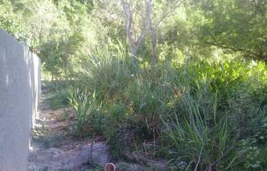 Imagem 7: Oportunidade ) 2 ótimos terrenos em local plano, 50 metros do asfalto (via principal