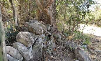 Imagem 7: Terreno de 20 ha em Itaguara MG