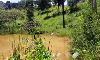 Imagem 7: Fazenda dd 24 ha em Itaguara