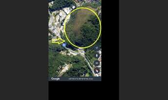 Imagem: ALMIRANTE TAMANDARE - MATO DENTRO