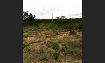 Imagem 5: Terreno Plano em Biritinga-Ba