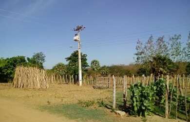 Imagem 4: FAZENDA COM 1.790 HECTARES EM APUIARÉS CE