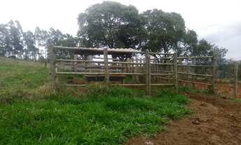 Imagem 7: Terreno de 10 ha em Oliveira