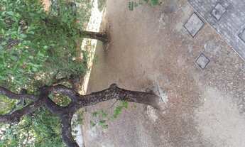 Imagem 4: VENDE-SE APARTAMENTO